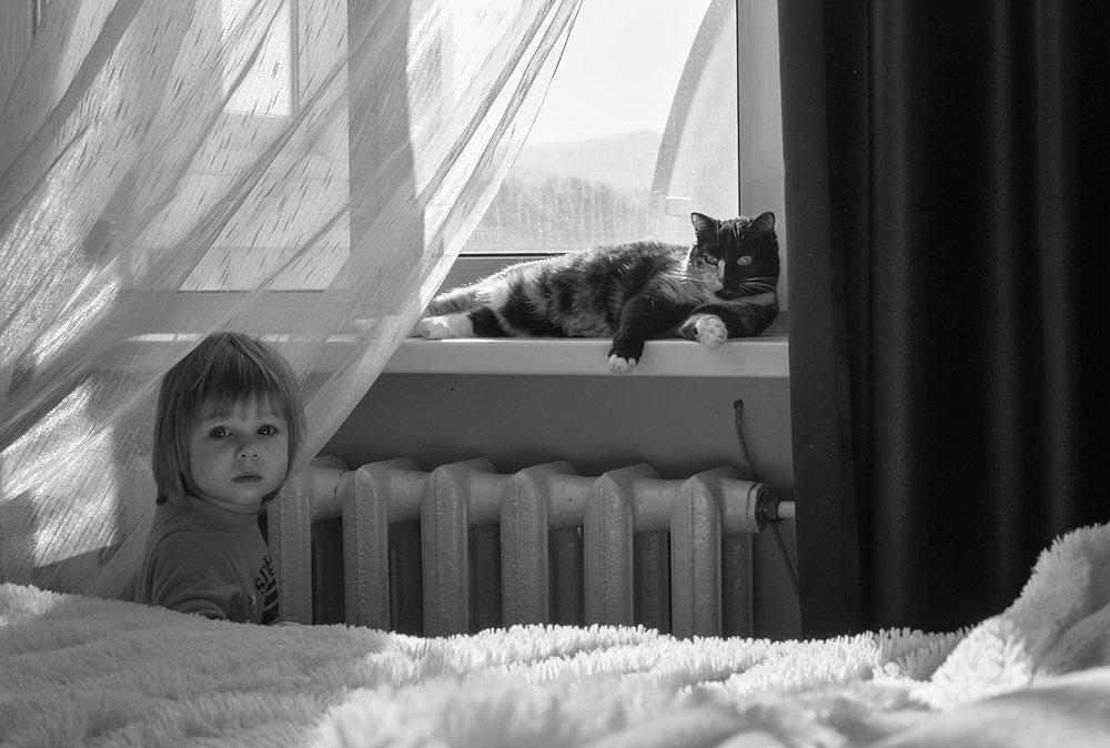 Photograph by Тамара Морозова