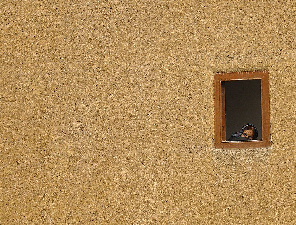 Фотография #5491007