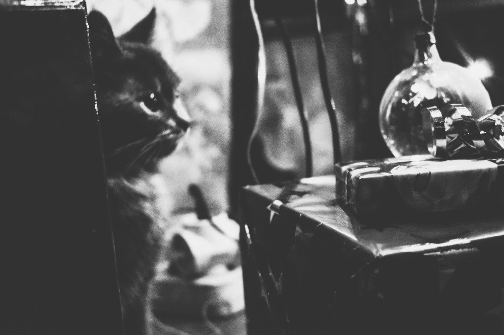 Фотография автора Алина Батын