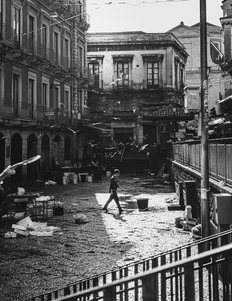 Cleaning accompanied by seagulls.