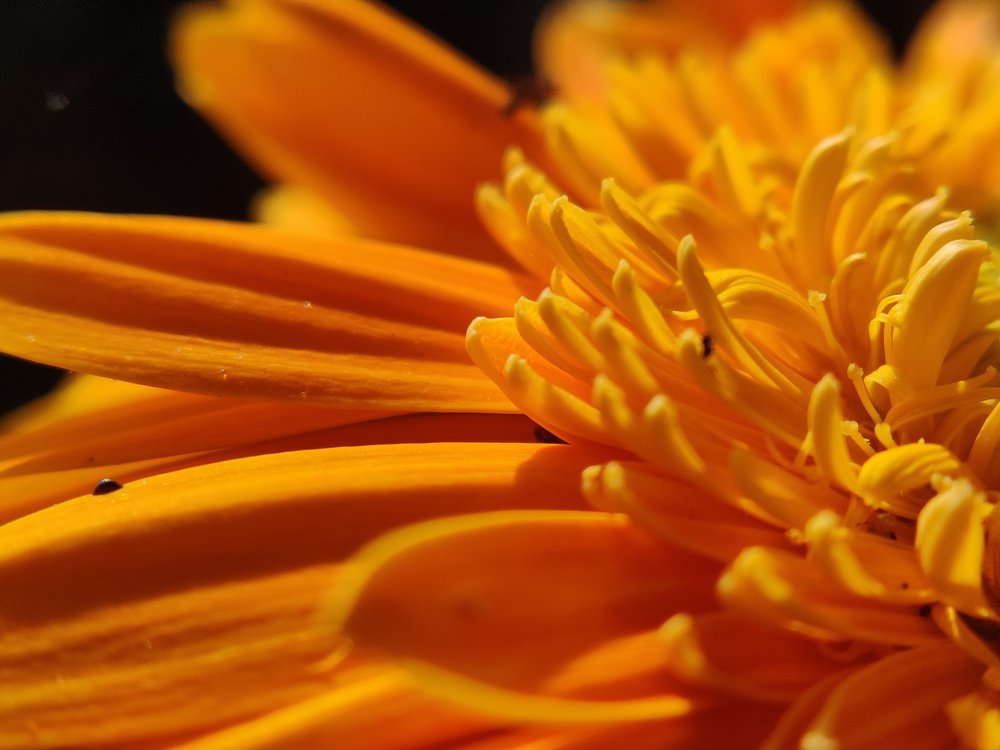 Photograph by Tanya Saxena