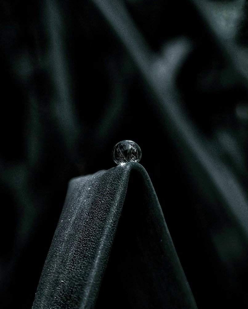 Photograph by Tanya Saxena