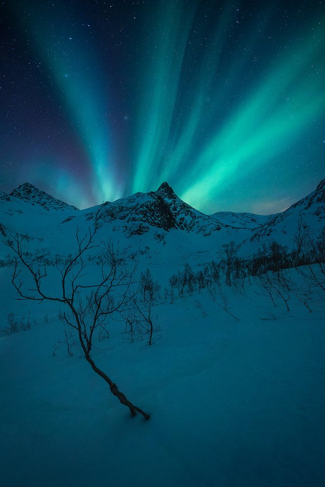 Photograph by Roberto Pavic