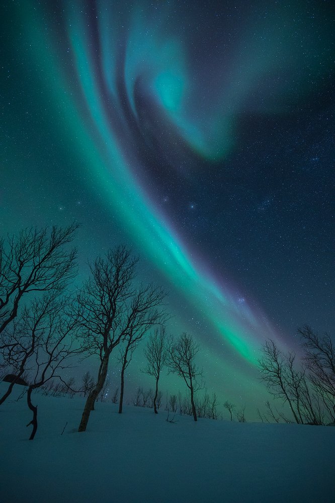 Photograph by Roberto Pavic