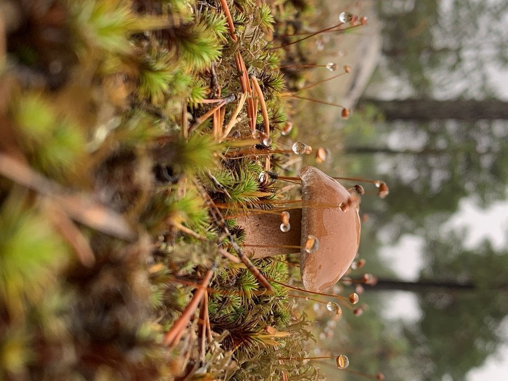 Photograph by Алина Зиннатуллина