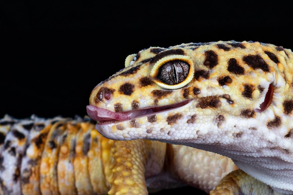 Photograph by Альбина Рычкова