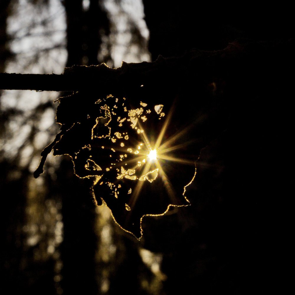 Photograph by Елена Кондратьева