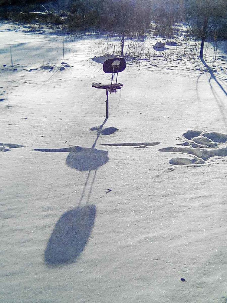 Photograph by Игорь Пшеничников