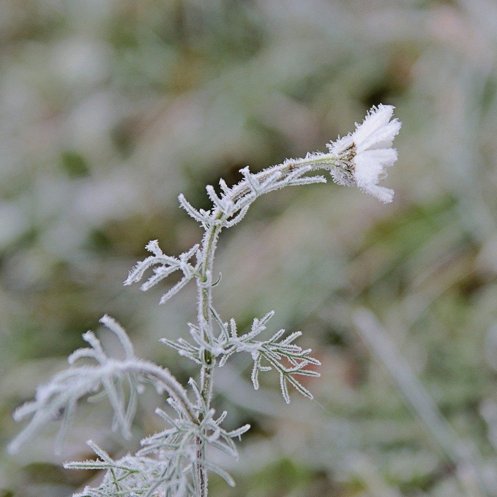Photograph by Елена Кондратьева