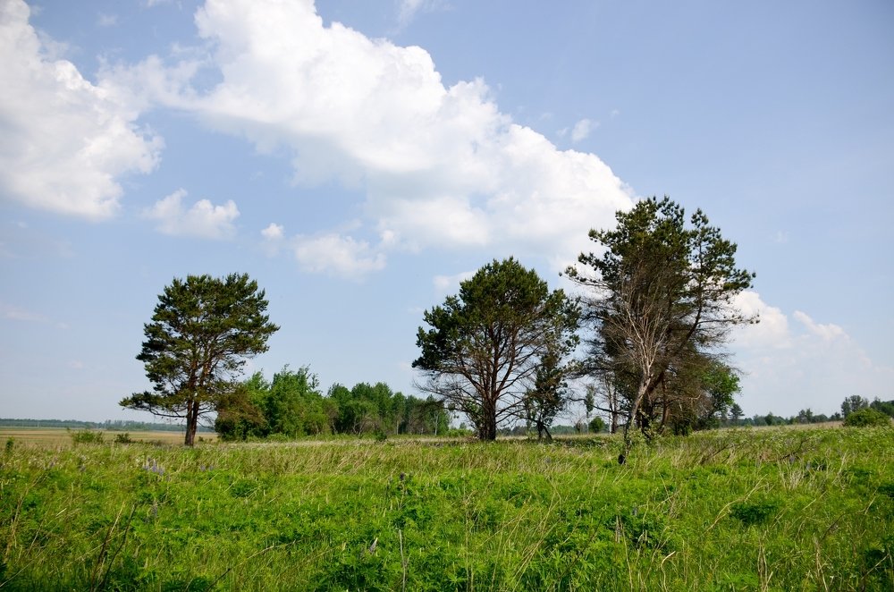 Photograph by Николай Соколовский