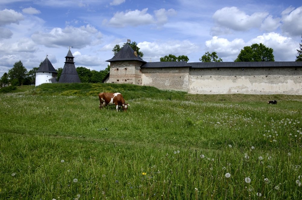 Photograph by Николай Соколовский