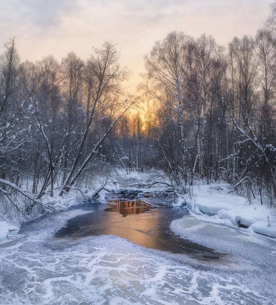 Photograph by Устюжанин Михаил