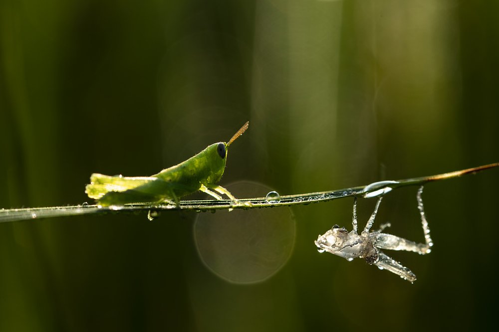 Change her via natural way