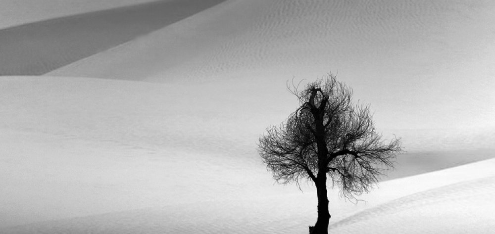 Photograph by Khaled ahmadi