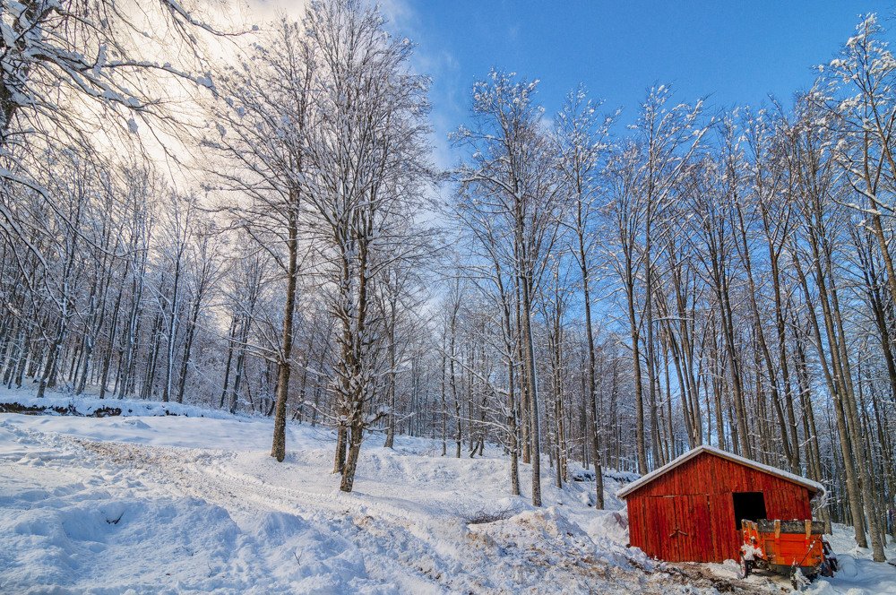 Photograph by Ozlem Ozyun