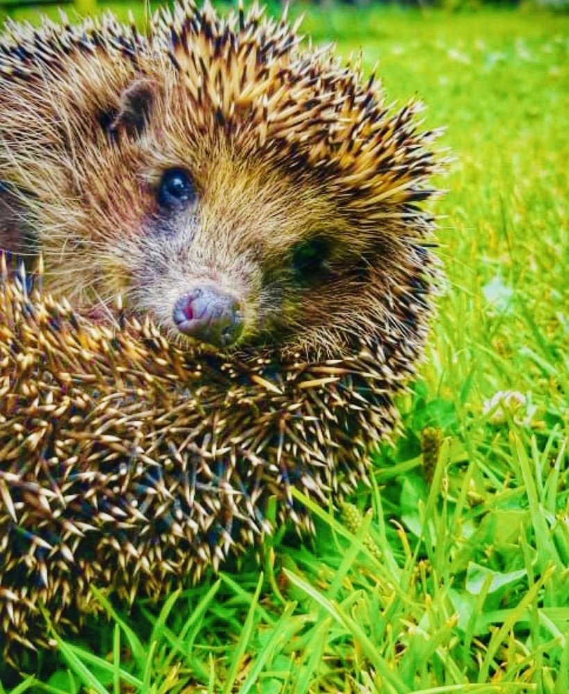 Photograph by Anastasia Malysh