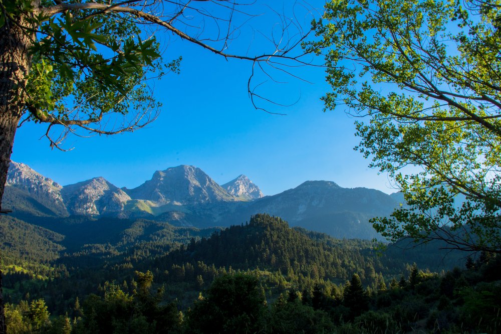 Photograph by Kostas Rammos