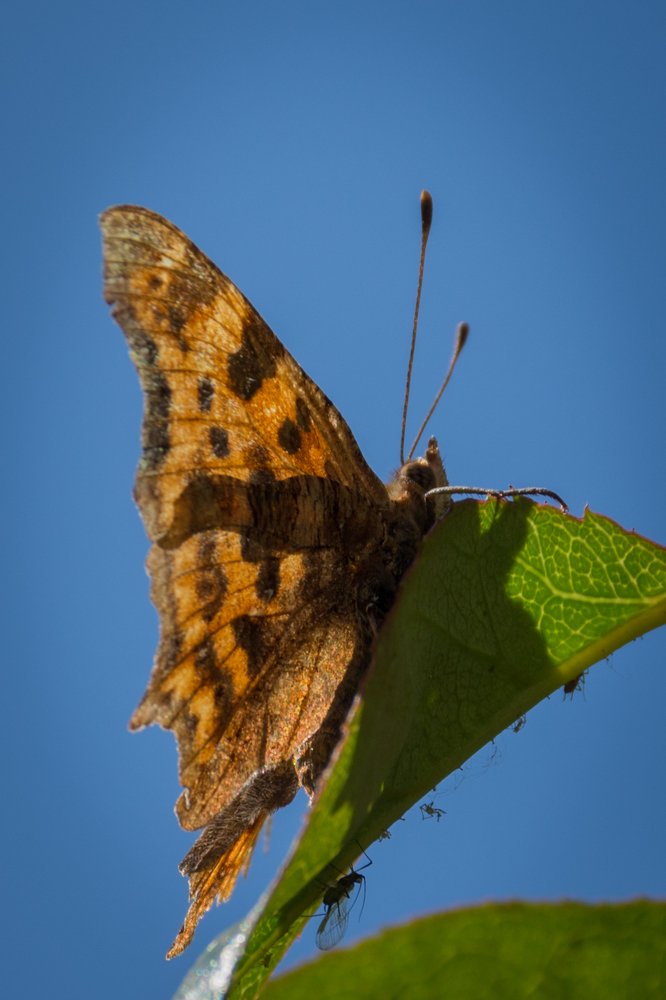 Photograph by Kostas Rammos