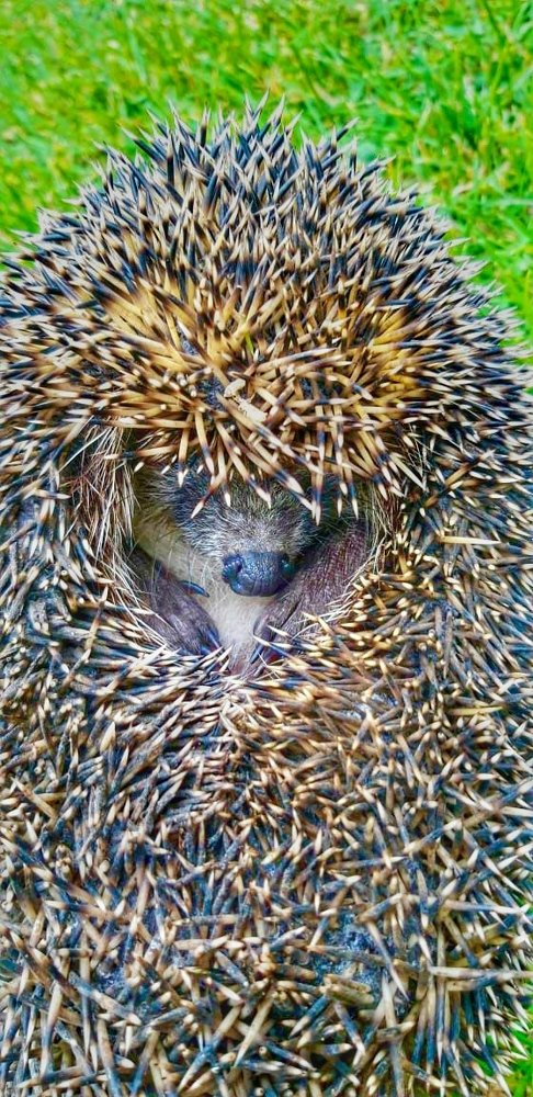 Photograph by Anastasia Malysh