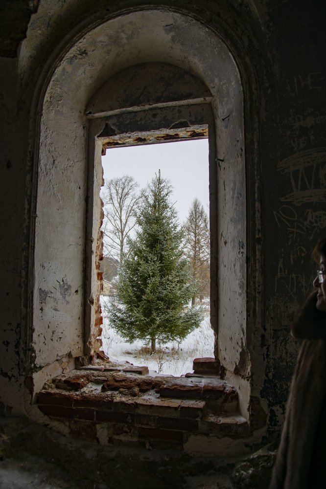 Photograph by Алексей Логинов