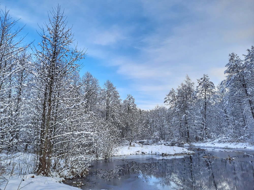 Photograph by Михаил Рассказ