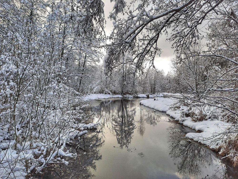 Photograph by Михаил Рассказ