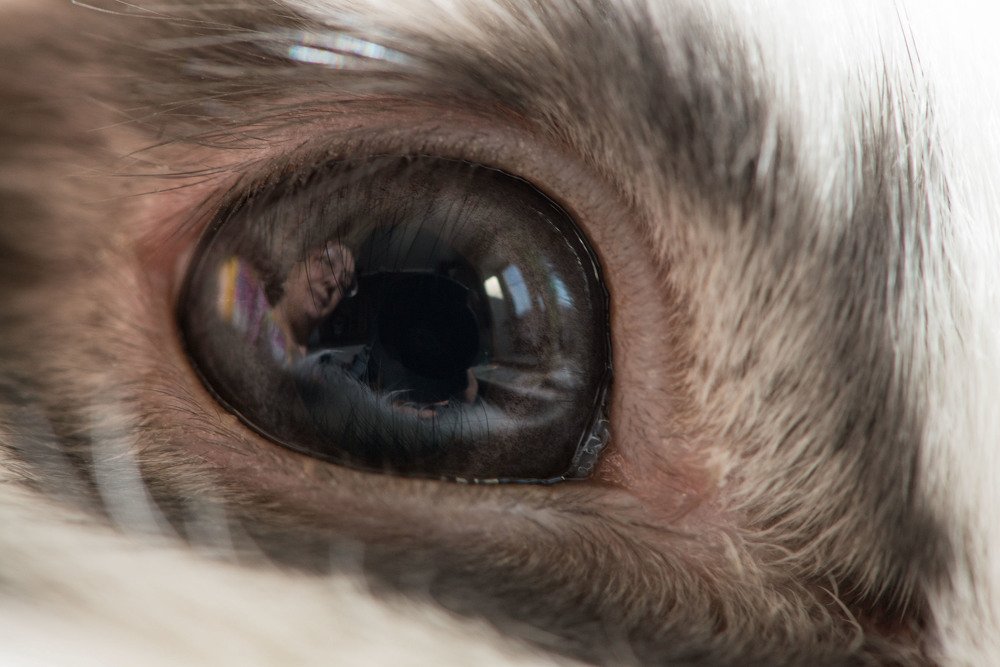 Photograph by Rimma Volchenko