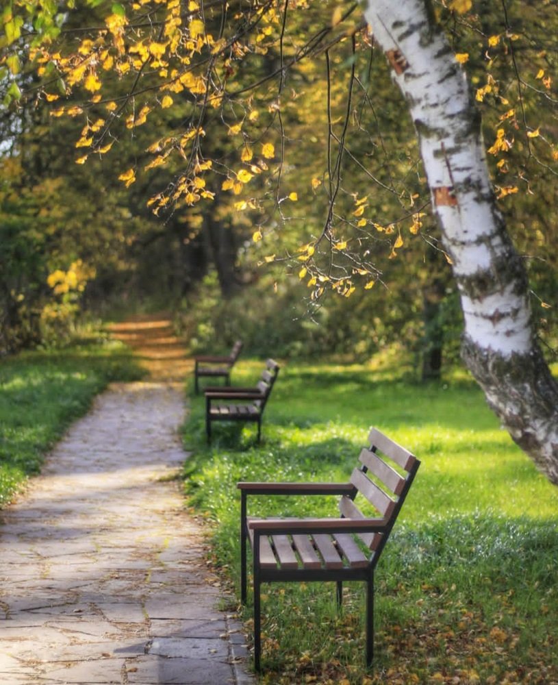 Photograph by Ирина Попкова