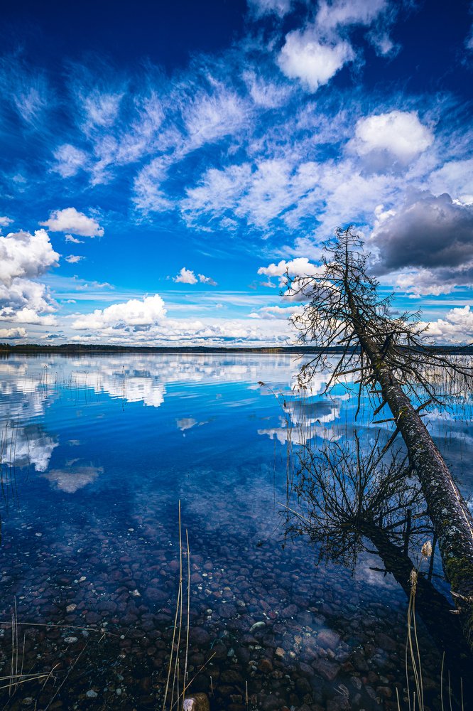 Photograph by Viktoras