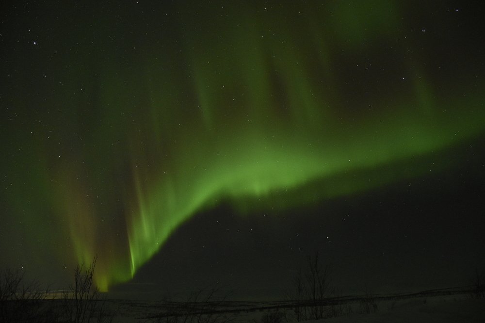 Photograph by Olga Yankus