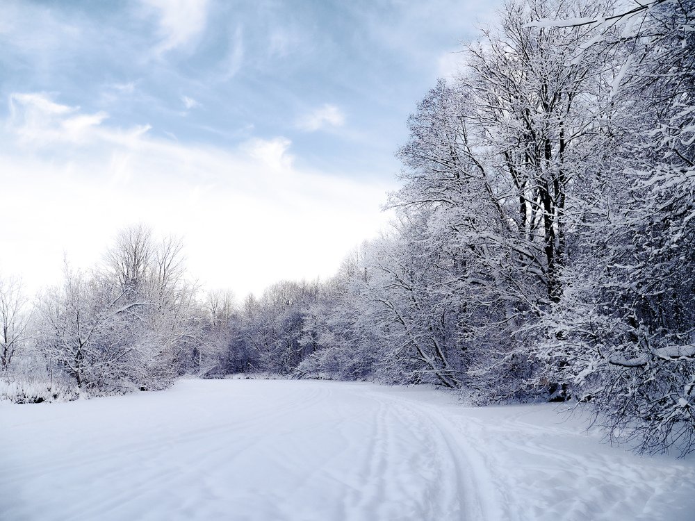 Photograph by Сергей Забиякин