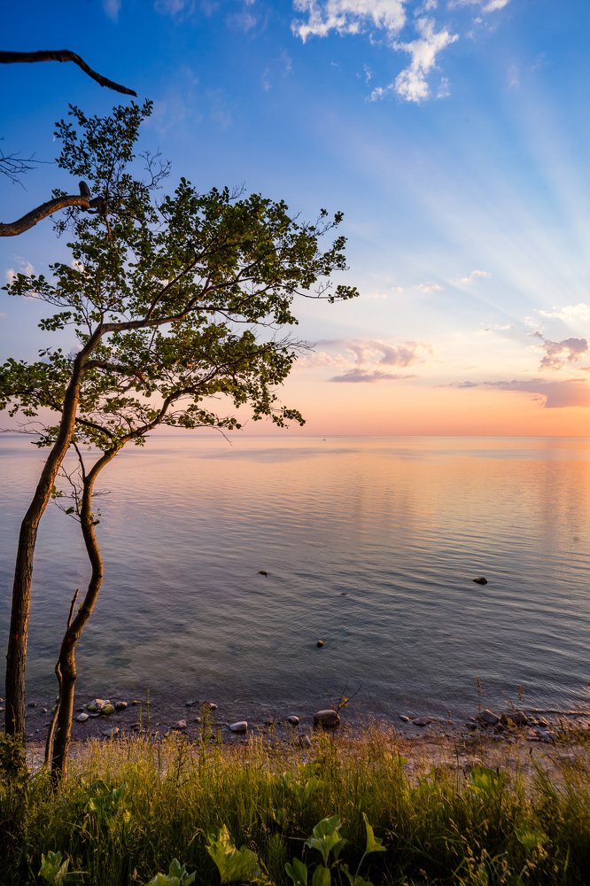 Photograph by Viktoras