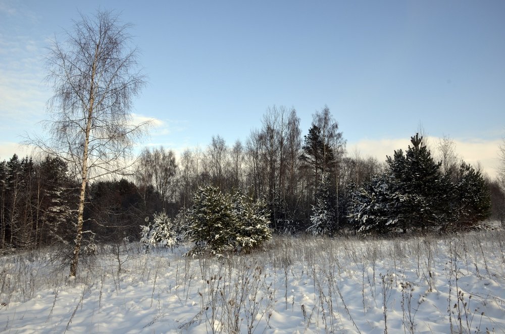 Photograph by Николай Соколовский