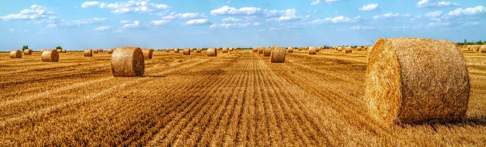 Фотография автора Igor Kovalenko