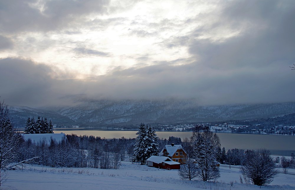 Photograph by Radu Marian