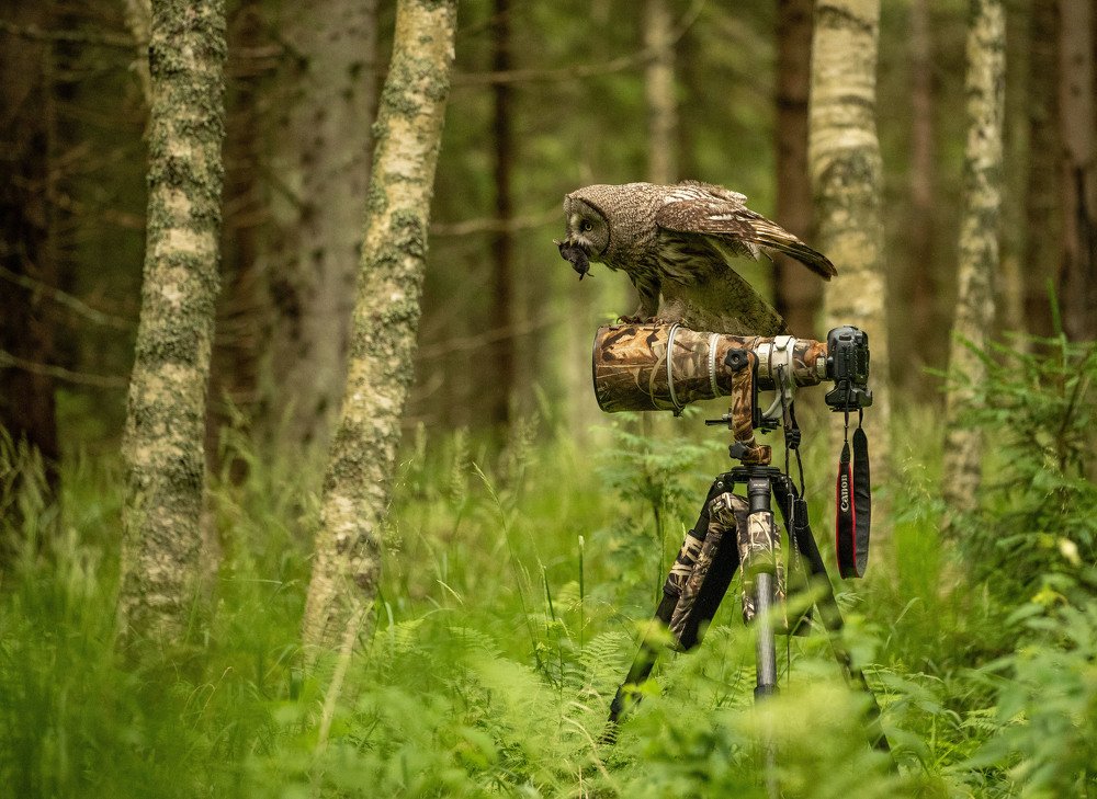 Photograph by Peeter Karask