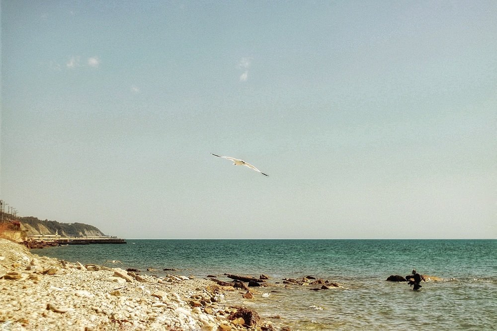 Photograph by Галина Меховская