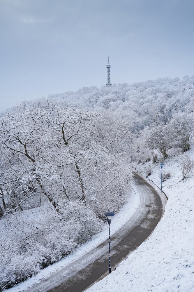Photograph by Николай Лебедев