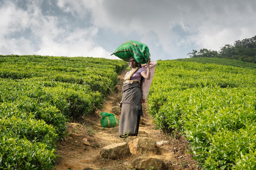 Photograph by Татьяна Сафрошкина