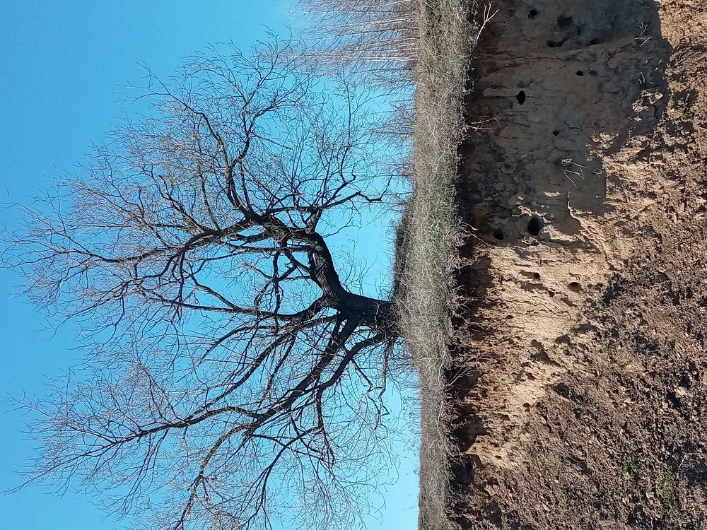 Photograph by Дарья Ващенко-Панкина