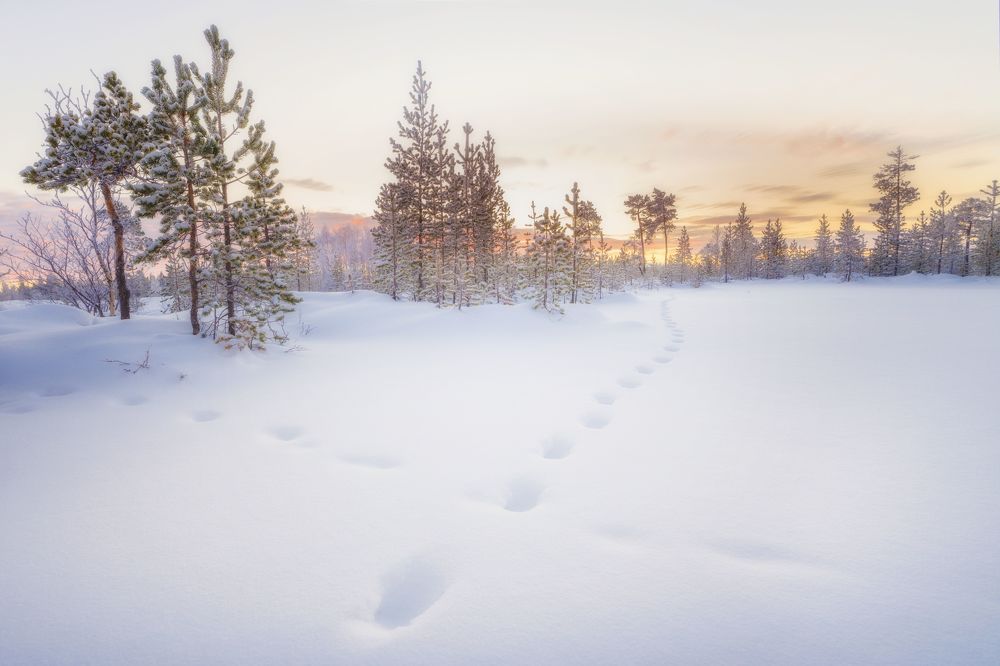 Photograph by ОЛЬГА КОВАЛЁВА