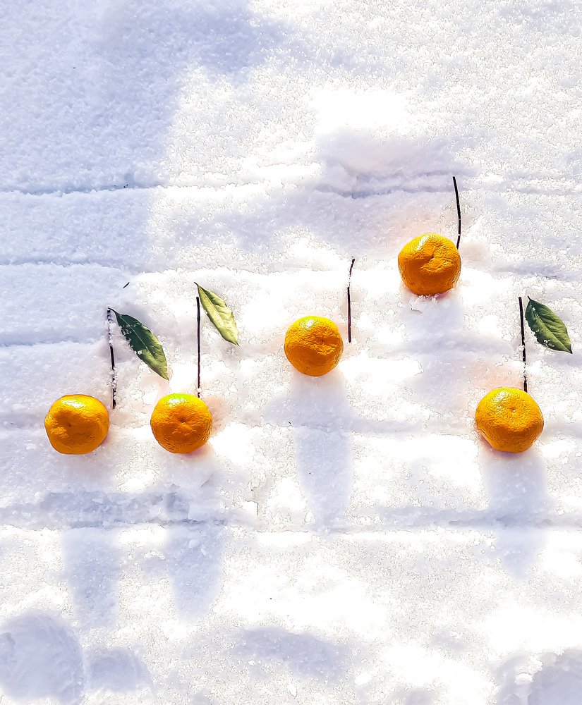 Photograph by Светлана Моисеева