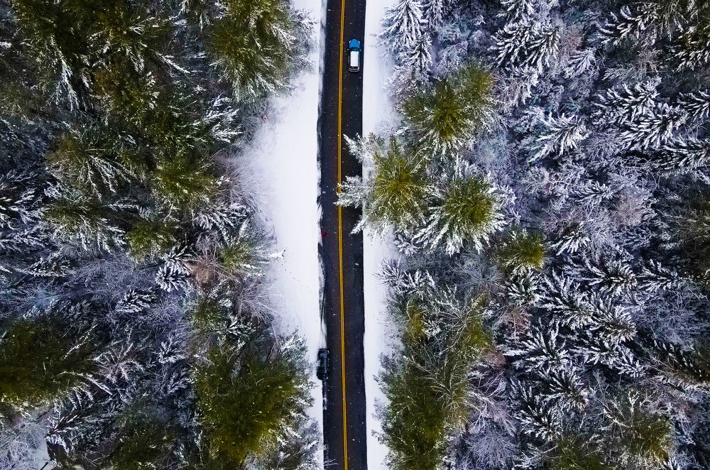 Winter Wonderland