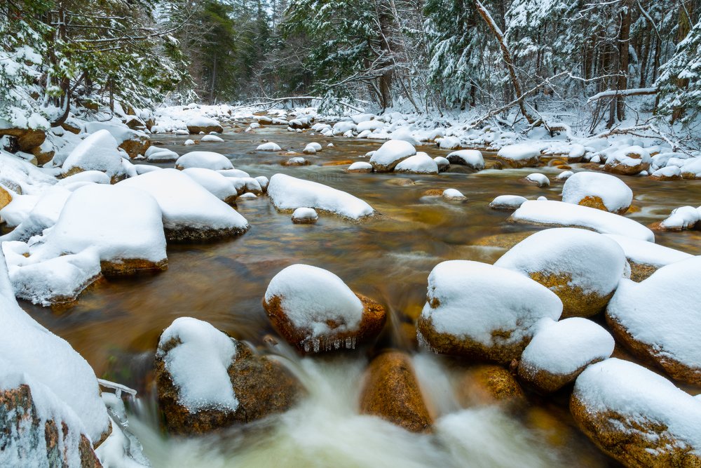 Cold Flow