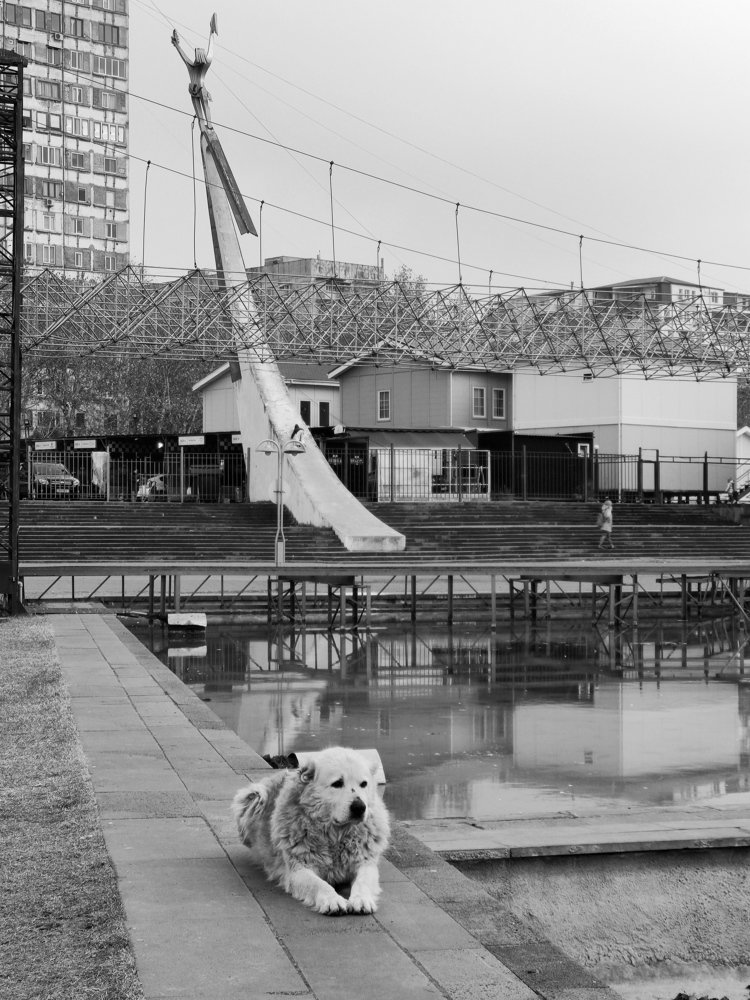 Photograph by Ani Chinchaladze