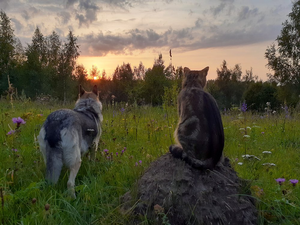 Photograph by Светлана Кондрашова