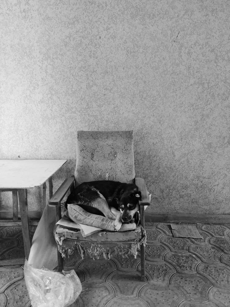 A little home of mine.