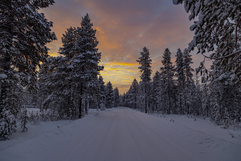 Зимний пейзаж.