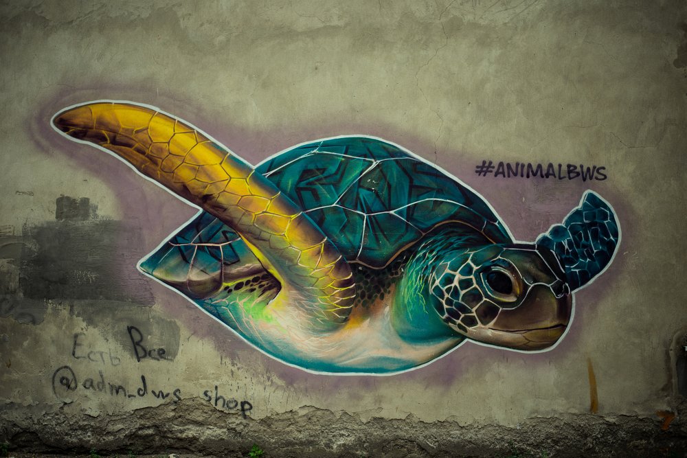 Photograph by Алексей Карпинчик