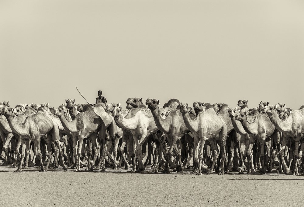 Фотография автора Sherine El Mously